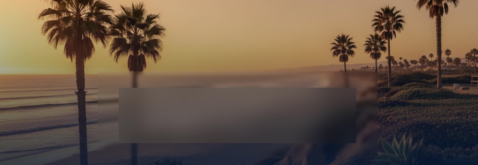 Palm trees at dusk in Oceanside, California